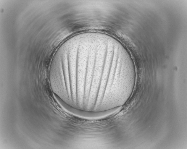 X0000088581169200706221309