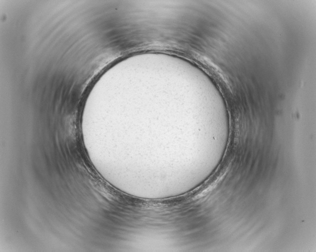 X0000088581170200706221309