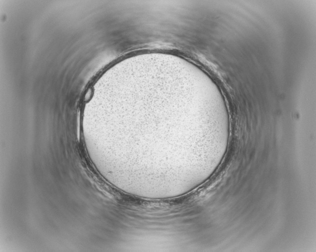 X0000088581171200706221309