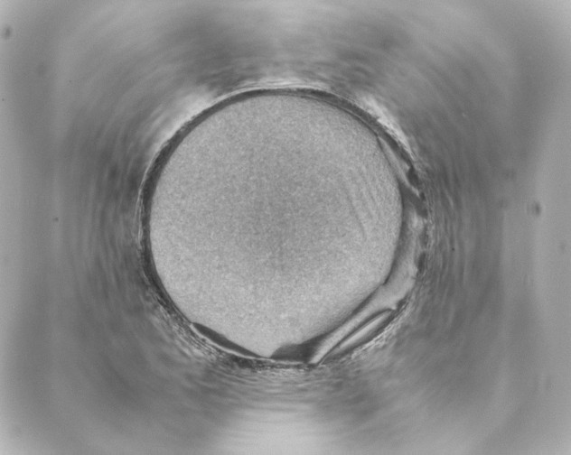 X0000088581173200706221309