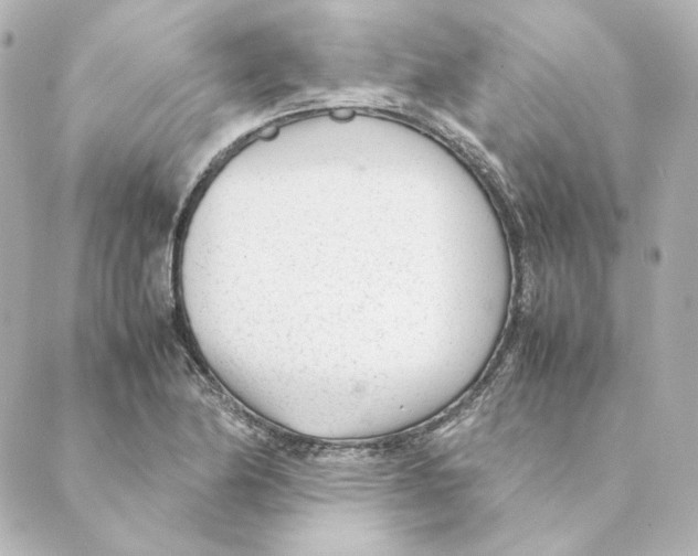 X0000088581174200706221309