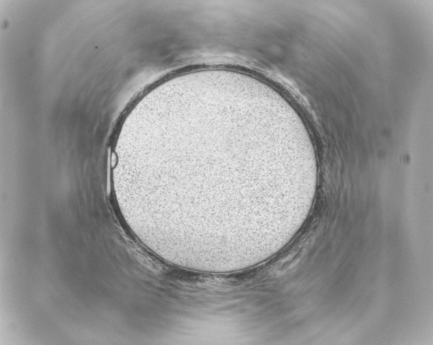 X0000088581175200706221309