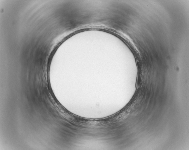 X0000088581176200706221309