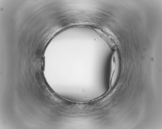 X0000088581177200706221309