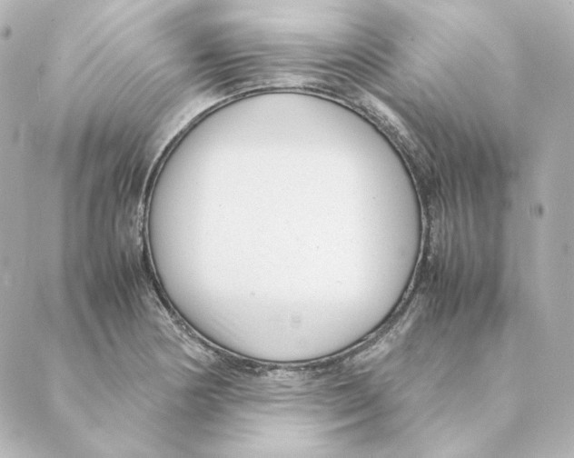 X0000088581178200706221309