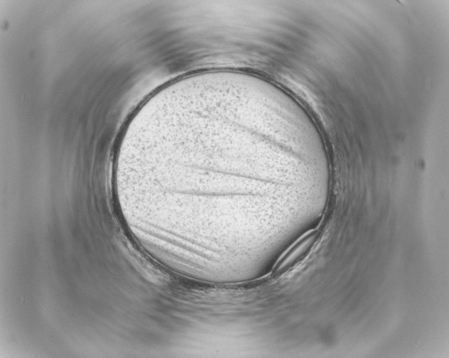 X0000088581179200706221309