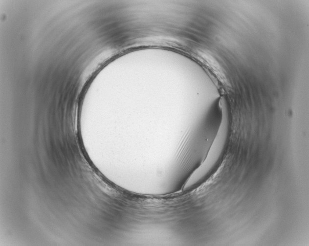 X0000088581180200706221309