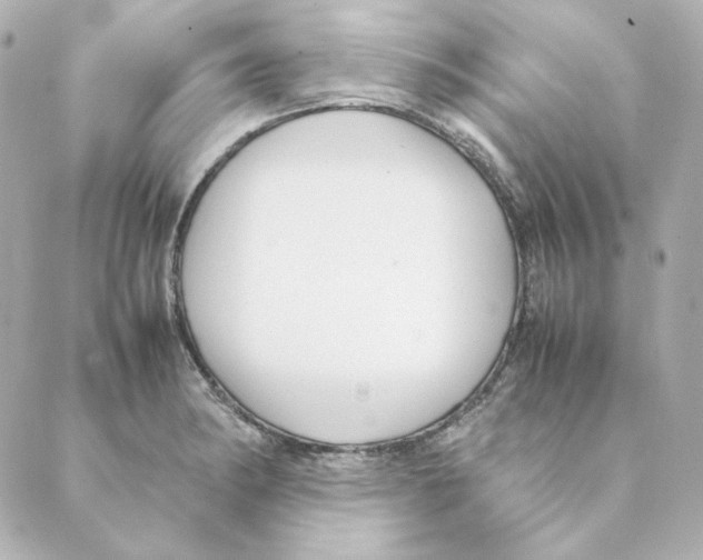 X0000088581182200706221308