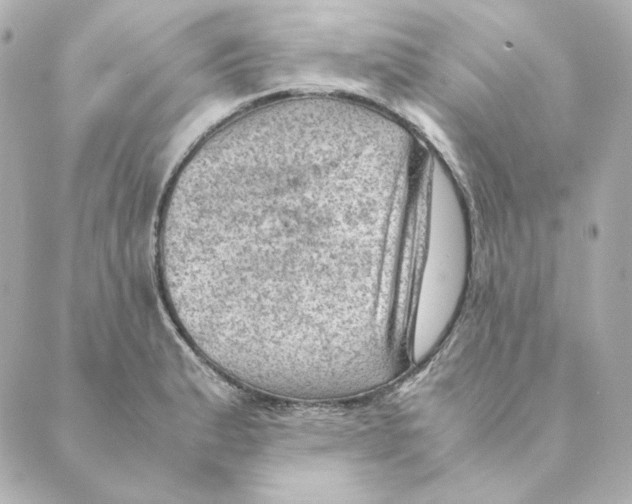 X0000088581183200706221308