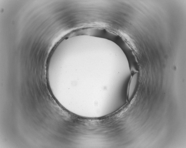 X0000088581184200706221308