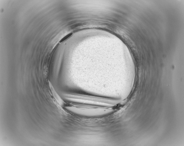 X0000088581185200706221308