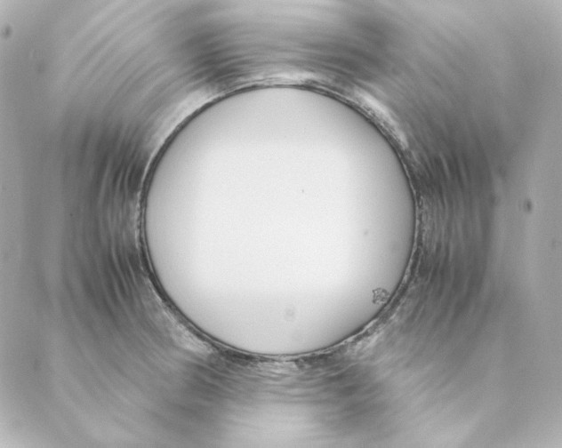 X0000088581186200706221308