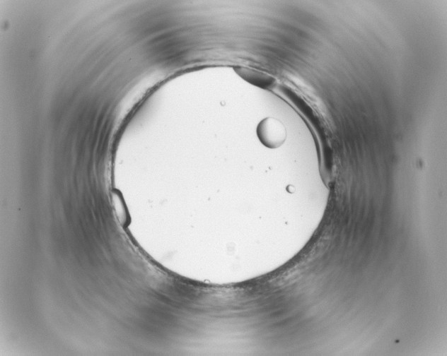 X0000088581188200706221308