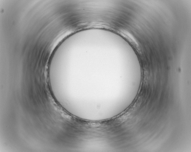 X0000088581190200706221308