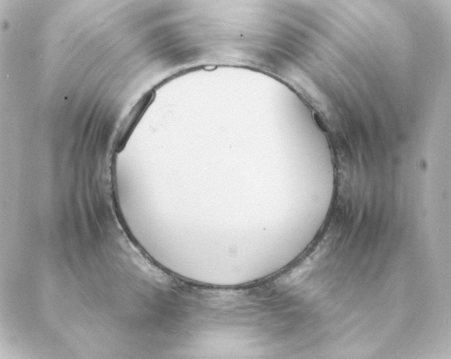 X0000088581192200706221308