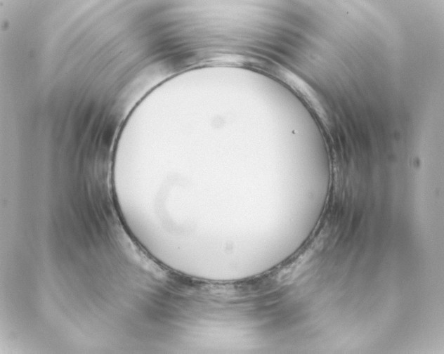 X0000088581194200706221308