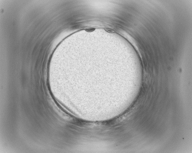 X0000088581195200706221308