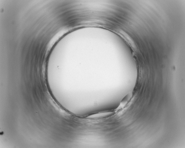 X0000088581196200706221308