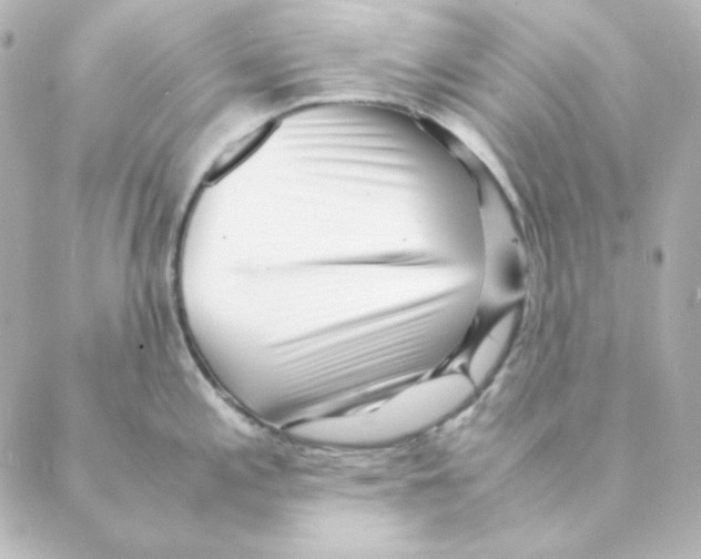 X0000088581197200706221308