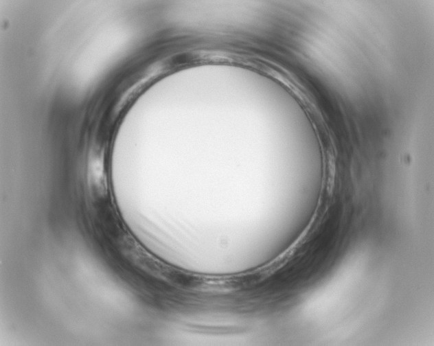 X0000088581198200706221308