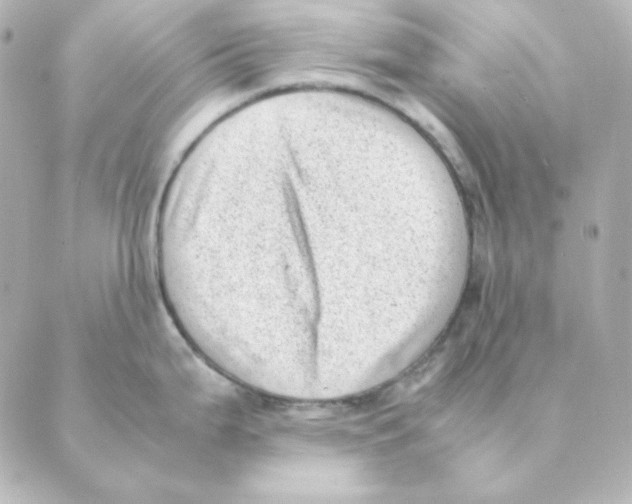 X0000088581199200706221308