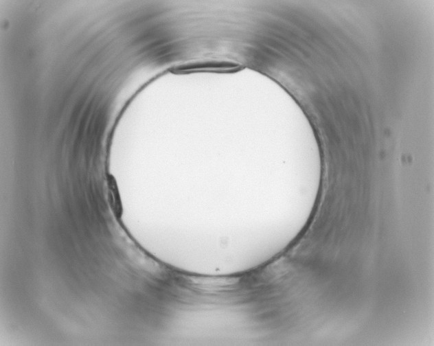 X0000088581200200706221308