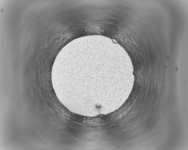 X0000088581201200706221307