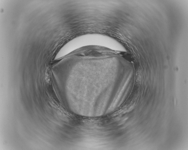 X0000088581202200706221307