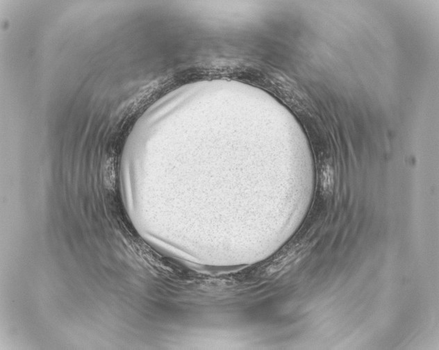 X0000088581204200706221307