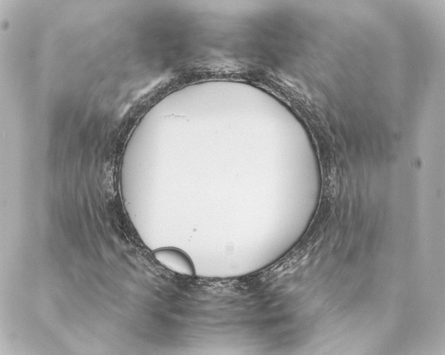 X0000088581205200706221307