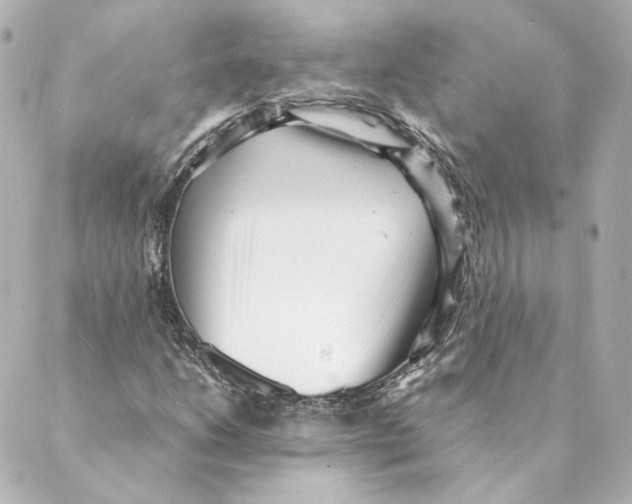 X0000088581206200706221308