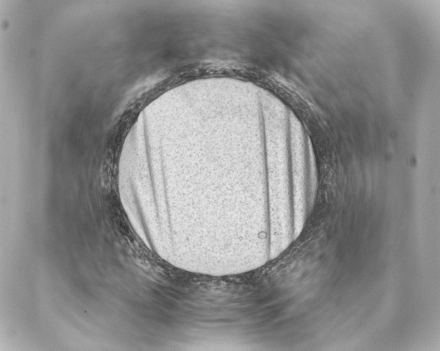 X0000088581207200706221308