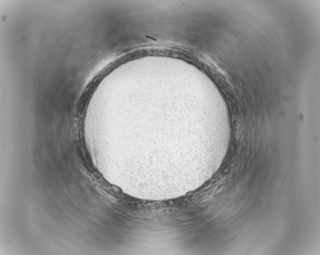 X0000088581208200706221308