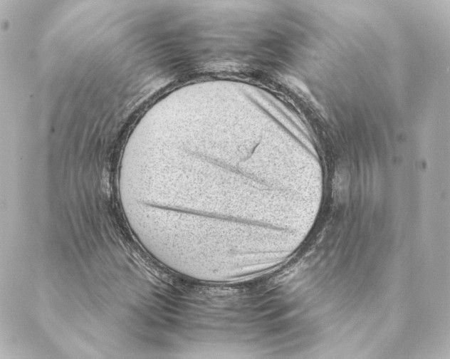 X0000088581209200706221308