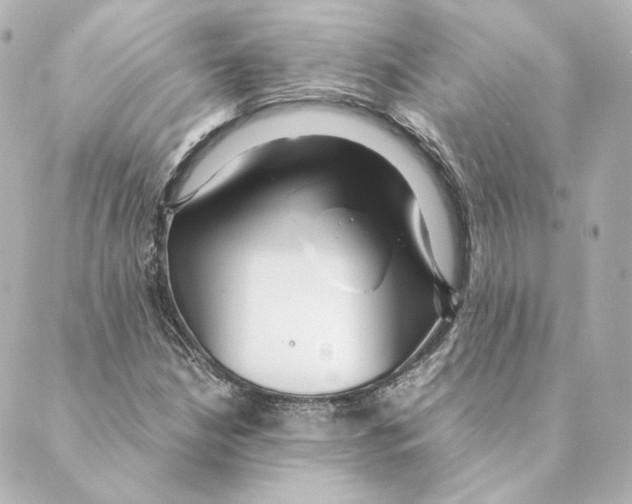 X0000088581210200706221308