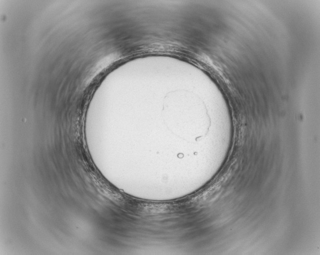 X0000088581211200706221308