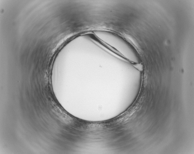 X0000088581212200706221308