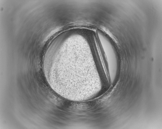 X0000088581213200706221308