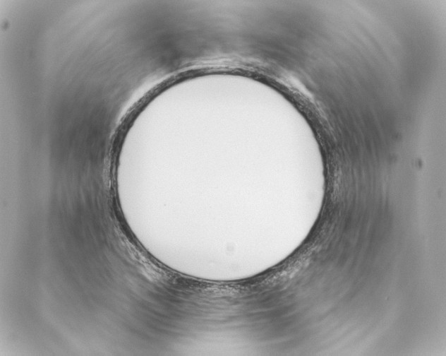 X0000088581216200706221308