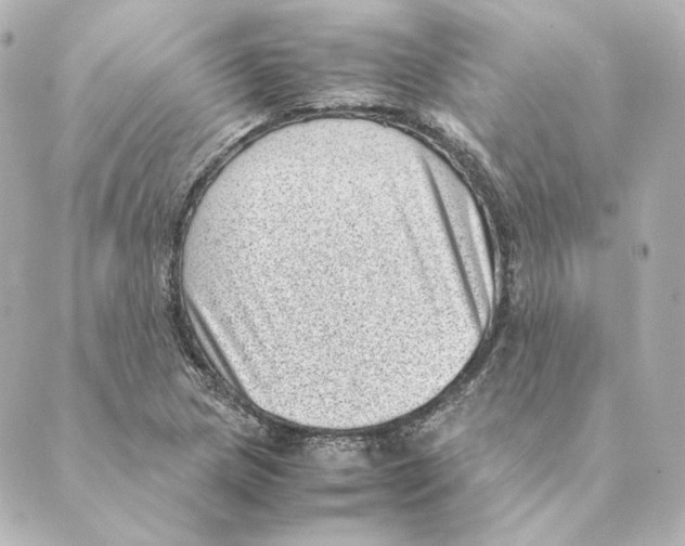 X0000088581217200706221308