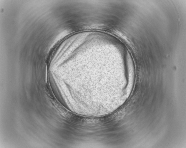 X0000088581219200706221308