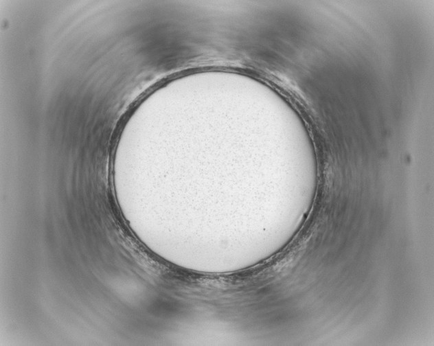 X0000088581220200706221308