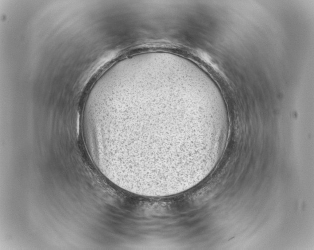 X0000088581221200706221308