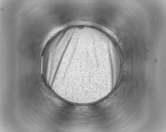 X0000088581223200706221308