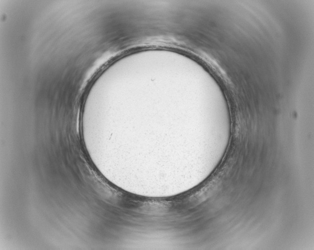 X0000088581224200706221308