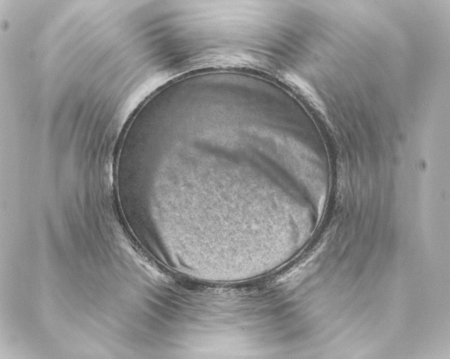 X0000088581226200706221308