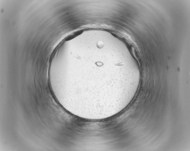 X0000088581228200706221308