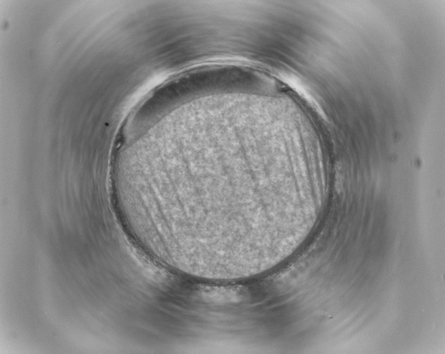 X0000088581229200706221308