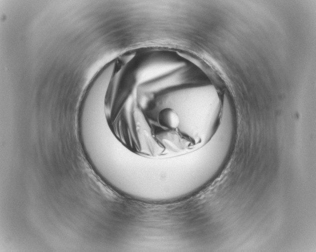 X0000088581230200706221308