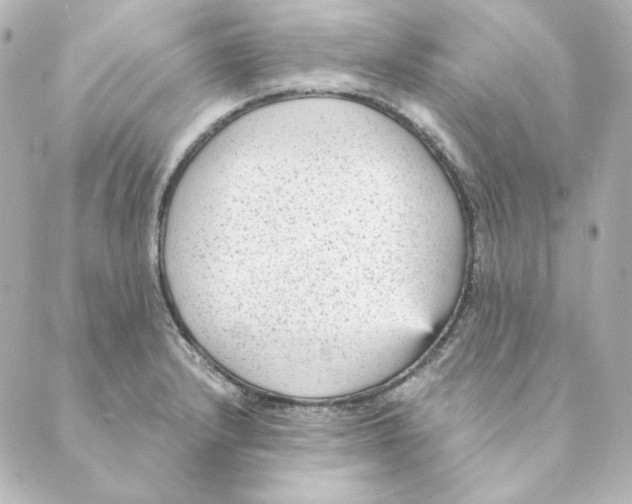 X0000088581232200706221308